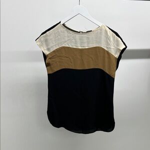 Chic 100% Silk Color Block Blouse